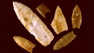 Clovis spear points from the Gault site in Texas. Image credit: Center for the Study of the First Americans, Texas A&M University.