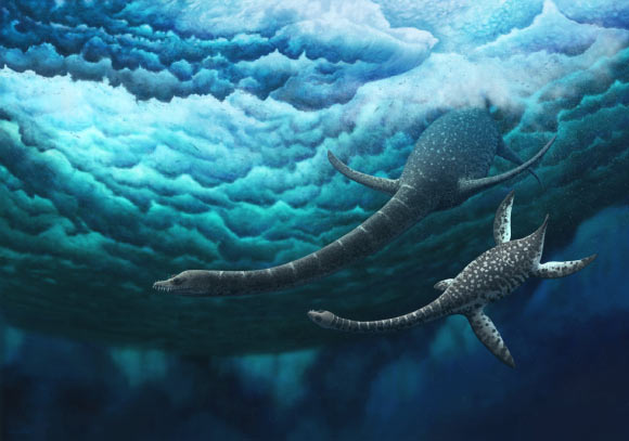 Life restoration of Jucha squalea. Image credit: Fischer et al., doi: 10.1093/zoolinnean/zlaa103.