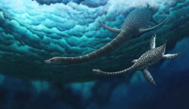 Life restoration of Jucha squalea. Image credit: Fischer et al., doi: 10.1093/zoolinnean/zlaa103.