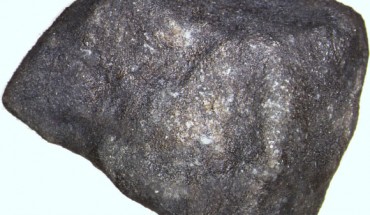 A fragment of the Hamburg meteorite found on Strawberry Lake near Hamburg, Michigan, the United States. Image credit: Heck et al., doi: 10.1111/maps.13584.