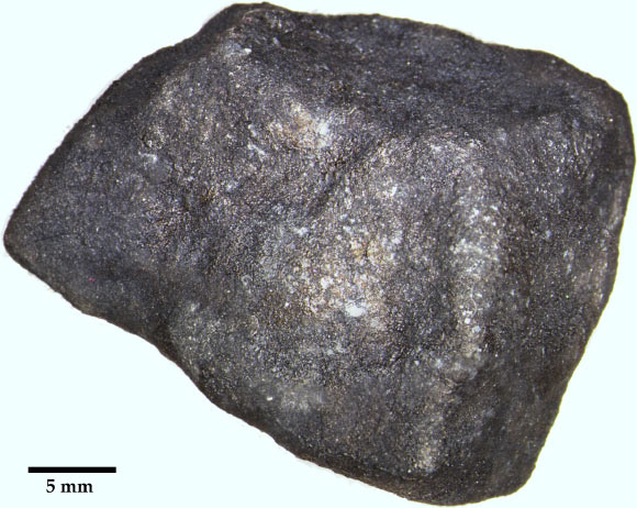 A fragment of the Hamburg meteorite found on Strawberry Lake near Hamburg, Michigan, the United States. Image credit: Heck et al., doi: 10.1111/maps.13584.