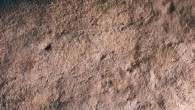 An engraving of a bison in the A panel of Aitzbitarte III cave in Spain. Image credit: Garate et al., doi: 10.1371/journal.pone.0240481.