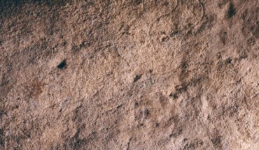 An engraving of a bison in the A panel of Aitzbitarte III cave in Spain. Image credit: Garate et al., doi: 10.1371/journal.pone.0240481.