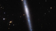 This Hubble image shows the edge-on spiral galaxy UGCA 193. Image credit: NASA / ESA / Hubble / R. Tully / Gagandeep Anand.
