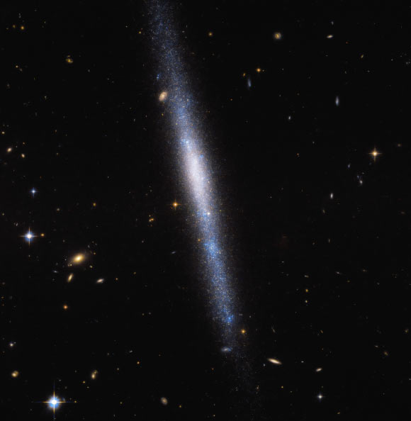 This Hubble image shows the edge-on spiral galaxy UGCA 193. Image credit: NASA / ESA / Hubble / R. Tully / Gagandeep Anand.