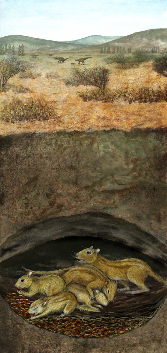 An artistic reconstruction of a social group of Filikomys primaevus in a burrow while dinosaurs roam above. Image credit: Misaki Ouchida.