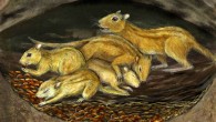 An artistic reconstruction of a social group of Filikomys primaevus in a burrow. Image credit: Misaki Ouchida.
