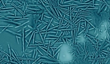 This SEM image shows crystals of donwilhelmsite in Oued Awlitis 001. Image credit: Ansgar Greshake, Museum für Naturkunde Berlin.