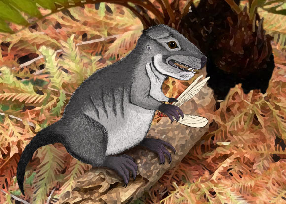 An artist’s impression of Kataigidodon venetus. Image credit: Ben Kligman / Hannah R. Kligman.