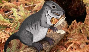 An artist’s impression of Kataigidodon venetus. Image credit: Ben Kligman / Hannah R. Kligman.