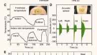 Fabrication processes and sensing performance of the multifunctional wearable electronics: (A) schematic illustration of the fabrication processes of the multifunctional wearable electronics; (B) motion tracking performance with the multifunctional device worn on the wrist; (C) indoor and outdoor body temperatures acquired using the wearable electronics mounted on the forehead (top) and comparison of measured indoor body temperatures when the wearable electronics is mounted at different locations (bottom); (D) acoustic data acquired using the wearable electronics mounted on the neck; (E) ECG data acquired using the wearable electronics when the participant is at rest (top), and after exercising for 13 s (middle) and 34 s (bottom). Image credit: Chuanqian Shi, University of Colorado, Boulder.