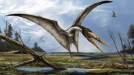 An artist’s impression of the azhdarchids pterosaur Alanqa saharica. Image credit: Davide Bonadonna.