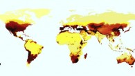 High-resolution bee species richness projections. Image credit: Orr et al., doi: 10.1016/j.cub.2020.10.053.