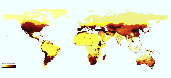 High-resolution bee species richness projections. Image credit: Orr et al., doi: 10.1016/j.cub.2020.10.053.