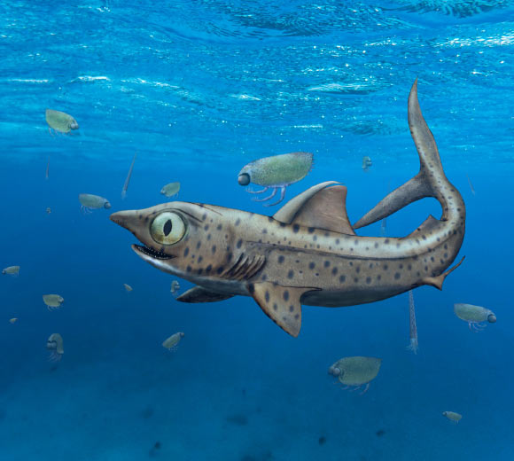 Ferromirum oukherbouchi reconstructed in association with invertebrates (orthocerid cephalopods and thylacocephalans) from the Devonian of Maider region, Morocco. Image credit: Frey et al., doi: 10.1038/s42003-020-01394-2.