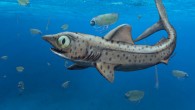 Ferromirum oukherbouchi reconstructed in association with invertebrates (orthocerid cephalopods and thylacocephalans) from the Devonian of Maider region, Morocco. Image credit: Frey et al., doi: 10.1038/s42003-020-01394-2.