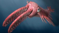 An artist’s reconstruction of ‘Anomalocaris’ briggsi. Image credit: Katrina Kenny.