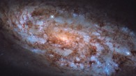 This Hubble image shows NGC 1792, a spiral galaxy 36.4 million light-years away in the southern constellation of Columba. The vast swathes of tell-tale blue seen throughout NGC 1792 indicate areas that are full of young, hot stars, and it is in the shades of orange, seen nearer the center that the older, cooler stars reside. The color image is made up of observations from Hubble’s Wide Field Camera 3 (WFC3) in the ultraviolet, near-infrared, and optical parts of the spectrum. It is based on data obtained through five filters. The color results from assigning different hues to each monochromatic image associated with an individual filter. Image credit: Hubble / ESA / NASA / J. Lee / Leo Shatz.