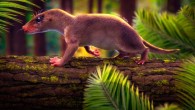 Life reconstruction of Agudotherium gassenae. Image credit: Márcio L. Castro.