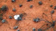 Hayabusa-2’s container with material from the near-Earth asteroid Ryugu and its parachute in South Australia. Image credit: JAXA.