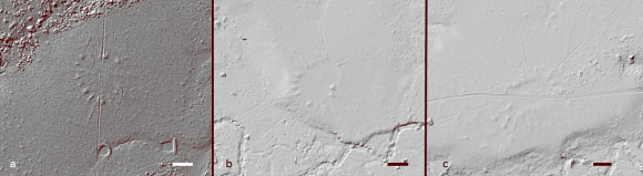 Circular mound villages: (a) Fazenda Boa Esperança, (b) Karina, (c) Estrela do Norte I. Scale bar - 50 m. Image credit: Iriarte et al., doi: 10.5334/jcaa.45.