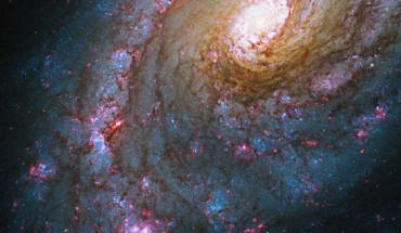 This Hubble images shows Caldwell 45, a spiral galaxy located 59 million light-years away in the constellation Boötes. Also known as NGC 5248, this galaxy is notable for the ring structure around its nucleus. These nuclear rings are characterized by hot spots of starburst activity. Caldwell 45 was discovered by astronomer William Herschel in 1784. The galaxy has an apparent magnitude of 10 and can be spotted using a small telescope, though it won’t appear very bright. A larger telescope is needed to make out the galaxy’s spiral arms. The best time of year to observe Caldwell 45 is during the northern hemisphere’s spring and the southern hemisphere’s autumn. This stunning image of Caldwell 45 is a composite of observations made by Hubble’s Wide Field Camera 3 (WFC3) and Wide Field and Planetary Camera 2 (WFPC2) in visible, infrared, and ultraviolet light. It captures the glowing red clouds where new stars are forming, scattered along the galaxy’s winding arms. These observations of Caldwell 45 were made to help astronomers learn more about gas in the galaxy’s starburst regions, as well as to better understand the structure of its nuclear rings. Image credit: NASA / ESA / J. Lee, California Institute of Technology / A. Filippenko, University of California, Berkeley / Gladys Kober, Catholic University of America.