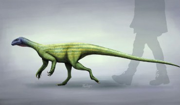 Life restoration of Thecodontosaurus antiquus. Image credit: Mario Lanzas / CC BY-SA 4.0.
