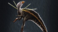 Life restoration of Ubirajara jubatus. Image credit: Bob Nicholls, paleocreations.com.