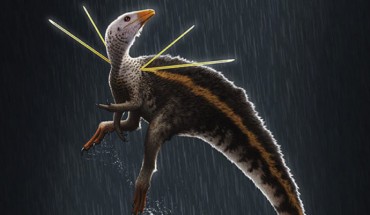Life restoration of Ubirajara jubatus. Image credit: Bob Nicholls, paleocreations.com.