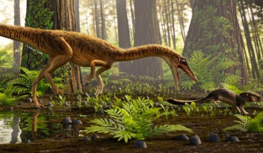 Life restoration of Erythrovenator jacuiensis. Image credit: Marcio Castro.