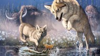 Meachen et al. report detailed morphometric, isotopic, and genetic analyses of Zhùr that reveal details of her appearance, evolutionary relationships to other wolves and short life-history and ecology. Image credit: Meachen et al., doi: 10.1016/j.cub.2020.11.011.