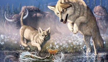 Meachen et al. report detailed morphometric, isotopic, and genetic analyses of Zhùr that reveal details of her appearance, evolutionary relationships to other wolves and short life-history and ecology. Image credit: Meachen et al., doi: 10.1016/j.cub.2020.11.011.