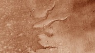 This image shows a suite of fluvial ridges on Mars (at –67.64 °E, 43.37 °S). Image credit: J. Dickson.