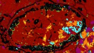Hamilton et al. studied the composition of Almahata Sitta 202 to determine that it likely originated from a previously unknown parent asteroid. Image credit: Hamilton et al., doi: 10.1038/s41550-020-01274-z.