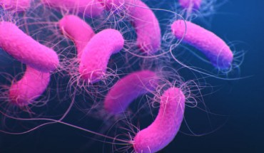An artist’s impression of the multidrug-resistant bacteria Pseudomonas aeruginosa. Image credit: Jennifer Oosthuizen / Antibiotic Resistance Coordination and Strategy Unit, CDC.