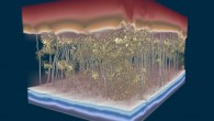 This 3D model of a polymer desalination membrane shows water avoiding dense spots in the membrane and slowing flow; red above the membrane shows water under higher pressure and with higher concentrations of salt; the gold, granular, sponge-like structure in the middle shows denser and less-dense areas within the salt-stopping membrane; silver channels show how water flows through; and the blue at the bottom shows water under lower pressure and with lower concentrations of salt. Image credit: Ganapathysubramanian Research Group / Iowa State University / Gregory Foss, Texas Advanced Computing Center.