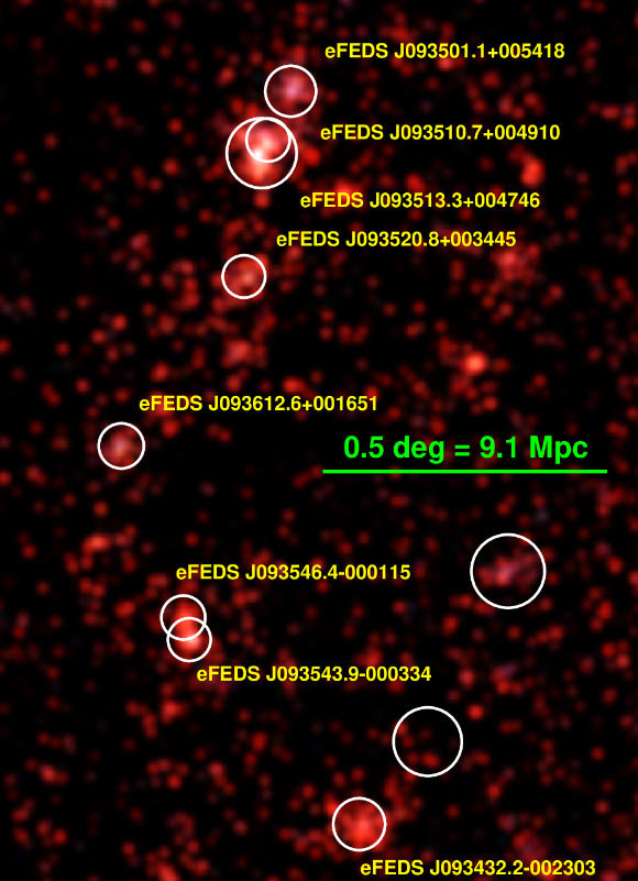Color image of the galaxy density map of the supercluster from the Hyper Suprime-Cam on the Subaru Telescope; white circles mark the member clusters detected by eROSITA. Image credit: Ghirardini et al., arXiv: 2012.11607 / Subaru Telescope.