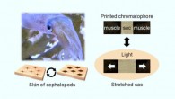 Researchers Discover New State of Matter: Liquid Glass