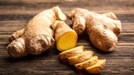 Ginger is known to have anti-inflammatory and anti-oxidative effects, and has traditionally been used as an herbal supplement in the treatment of various chronic diseases. Image credit: Joseph Mucira.