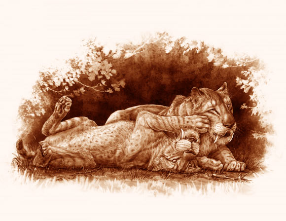 Smilodon fatalis cubs. Image credit: Danielle Dufault, Royal Ontario Museum.