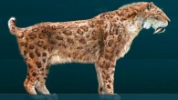 An artist’s impression of Smilodon fatalis. Image credit: Sergio De la Rosa / CC BY-SA 3.0.