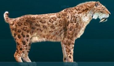 An artist’s impression of Smilodon fatalis. Image credit: Sergio De la Rosa / CC BY-SA 3.0.