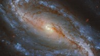 This image of the barred spiral galaxy NGC 613 was snapped by Hubble’s Advanced Camera for Surveys (ACS). The color composite was assembled from images taken in visible and near-infrared light. Three filters were used to sample various wavelengths. The color results from assigning different hues to each monochromatic image associated with an individual filter. Image credit: NASA / ESA / Hubble / G. Folatelli.