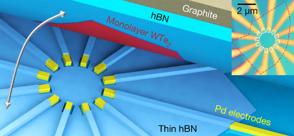 Cartoon illustration of the device design, where a thin hBN layer (blue) with selectively etched areas is used to avoid contact of the Pd electrodes (yellow) with the edges of the monolayer WTe2. The stack of graphite (gray)/hBN (blue)/monolayer WTe2 (red), shown in the cross-sectional view, is further stacked onto the bottom part with the electrodes, as indicated by the arrow. Inset: an image of device 1; the dashed red line highlights the monolayer edges and the white squares denote the contact regions. Image credit: Wang et al., doi: 10.1038/s41586-020-03084-9.
