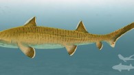 Tentative life reconstruction of the hybodontiform shark Asteracanthus ornatissimus. Image credit: Sebastian Stumpf / Fabrizio De Rossi.