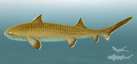 Tentative life reconstruction of the hybodontiform shark Asteracanthus ornatissimus. Image credit: Sebastian Stumpf / Fabrizio De Rossi.