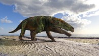 Life appearance of the non-archosaurian archosauriform, the most suitable producer of Isochirotherium gardettensis. Image credit: Fabio Manucci.