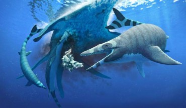 Life reconstruction of Xenodens calminechari. Image credit: Andrey Atuchin.
