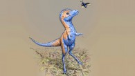 An artist’s impression of a juvenile tyrannosaur. Image credit: Julius Csotonyi.