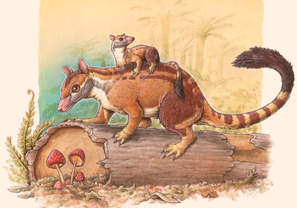 Kramadolops maximus, the youngest known species of polydolopid marsupial. Image credit: Gabriel Lío.